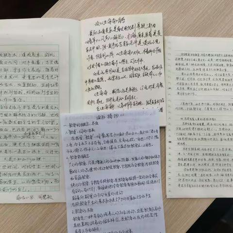 学习新课标  把握新方向 —桥东区南小区小学新课标学习及展示活动