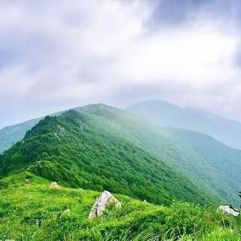 草链岭登高赏漫山花开一日游