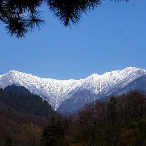 登高车峪翠峰山、远眺太白积雪赏千亩梅园