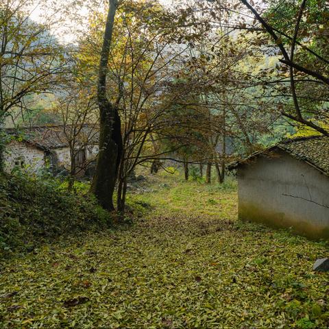 石台：白石岭、画坑、七星山