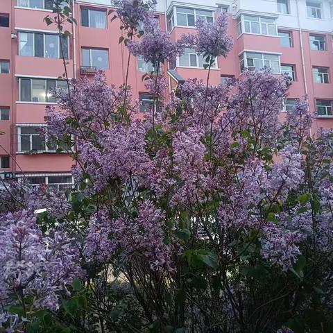 “首席技师”出自毫厘之间