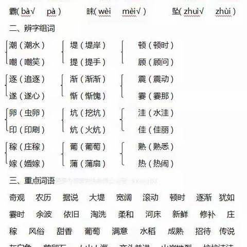 四年级语文上册总复习