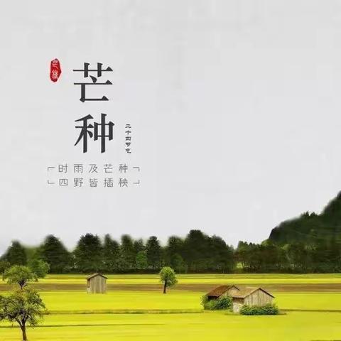 芒种至，盛夏始——立新实验小学芒种节气活动