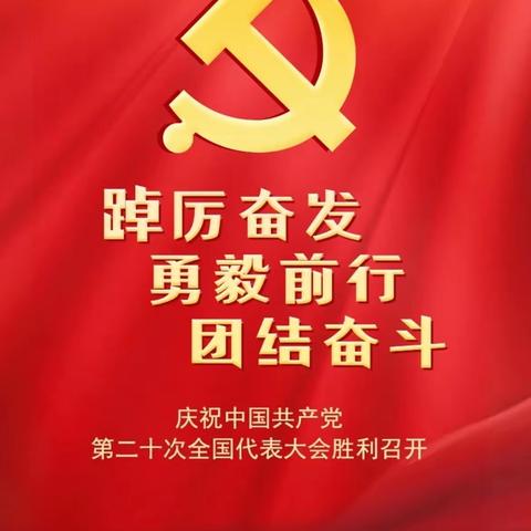 大兴新区管委会各支部党员收看党的二十大开幕盛况