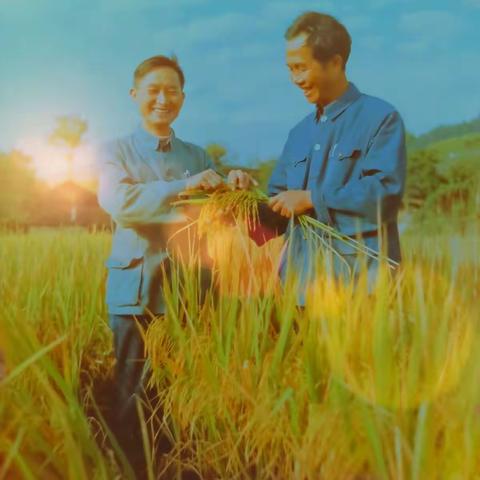 我的父亲余国茂