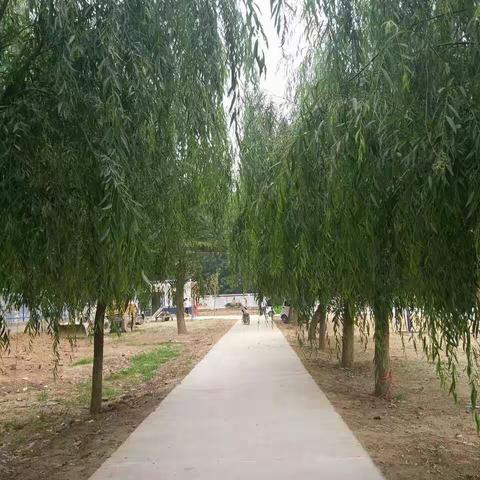 我为龚中点缀，你留意过我吗？