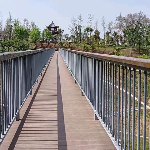 20210324登云岭公园