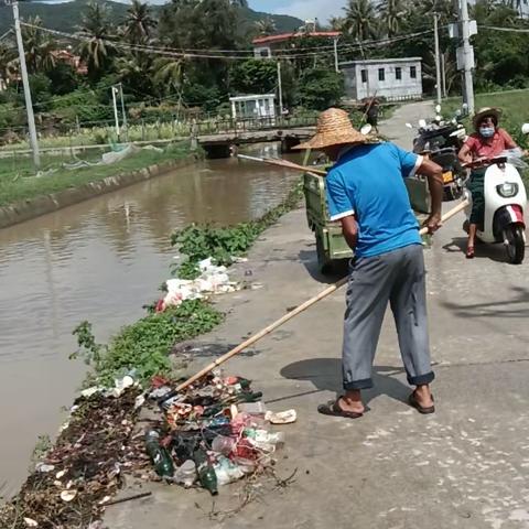 椰林镇开展各水域水浮莲回头看清理整治工作