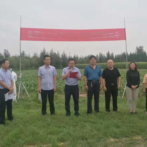 临渭区玉米草地贪夜蛾防控工作现场会在孝义镇洪新村召开
