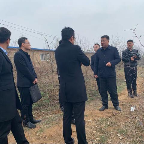 陕州区深入推进黄河流域生态环境保护工作