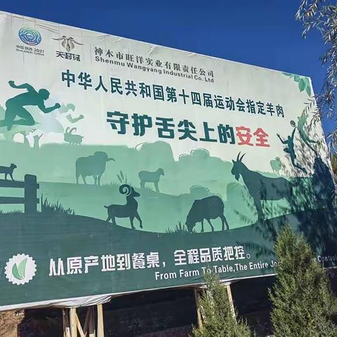 榆林市老科协张耘会长一行到全国、全省运动会羊肉指定供应养殖企业调研