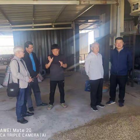 无名小草的美篇