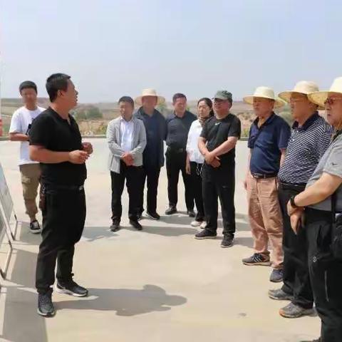 无名小草的美篇