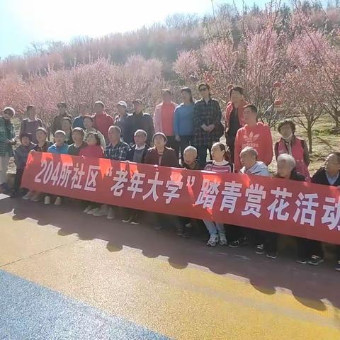 电子城街道204所社区“老年大学”踏青赏花活动