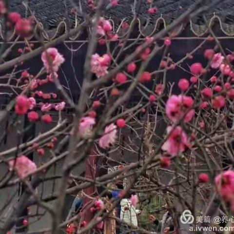 我的美篇