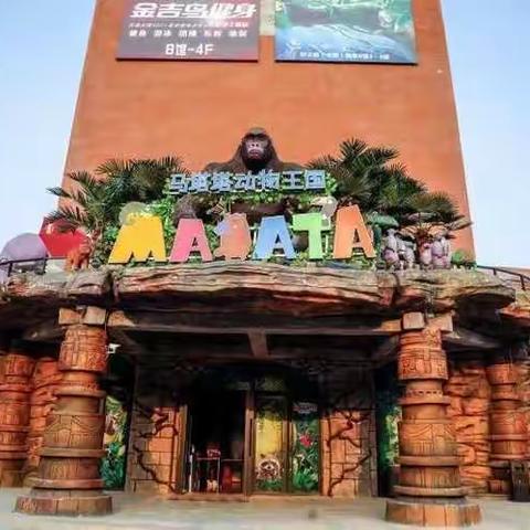 合肥海洋世界+马塔塔室内动物园
