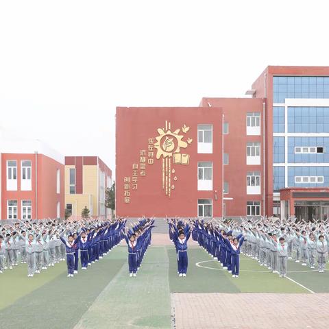 阳光课间操 活力满校园——丰田镇中心小学校本操“天天向上”展示活动纪实