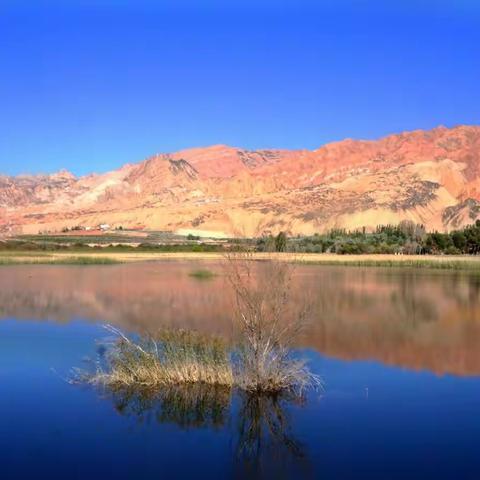 2019  带着妈妈去旅行（一）