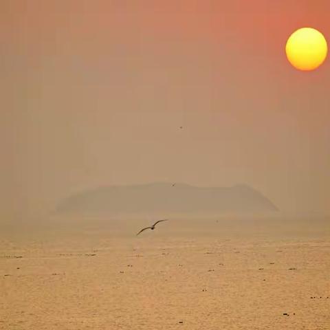 初夏，行走在齐鲁大地上(二)：蓬莱长岛