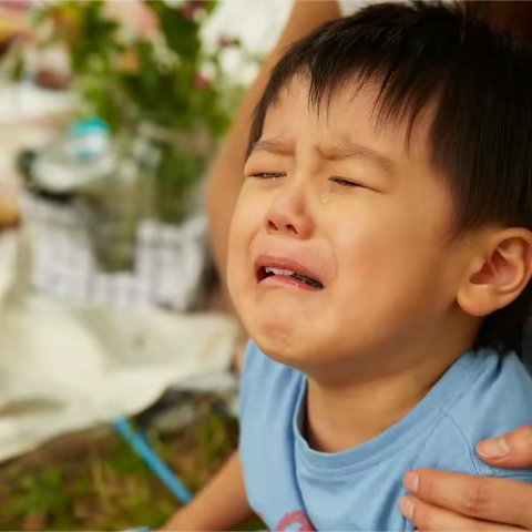 新生家长提前做好这些事，孩子入园焦虑缓解一大半！