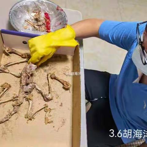 假期特色生物作业