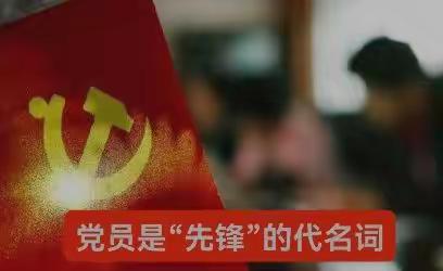 防疫一线党旗红—党员就是“先锋”的代名词