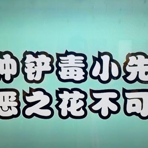 苏桥镇第一中心幼儿园春季禁毒活动纪实