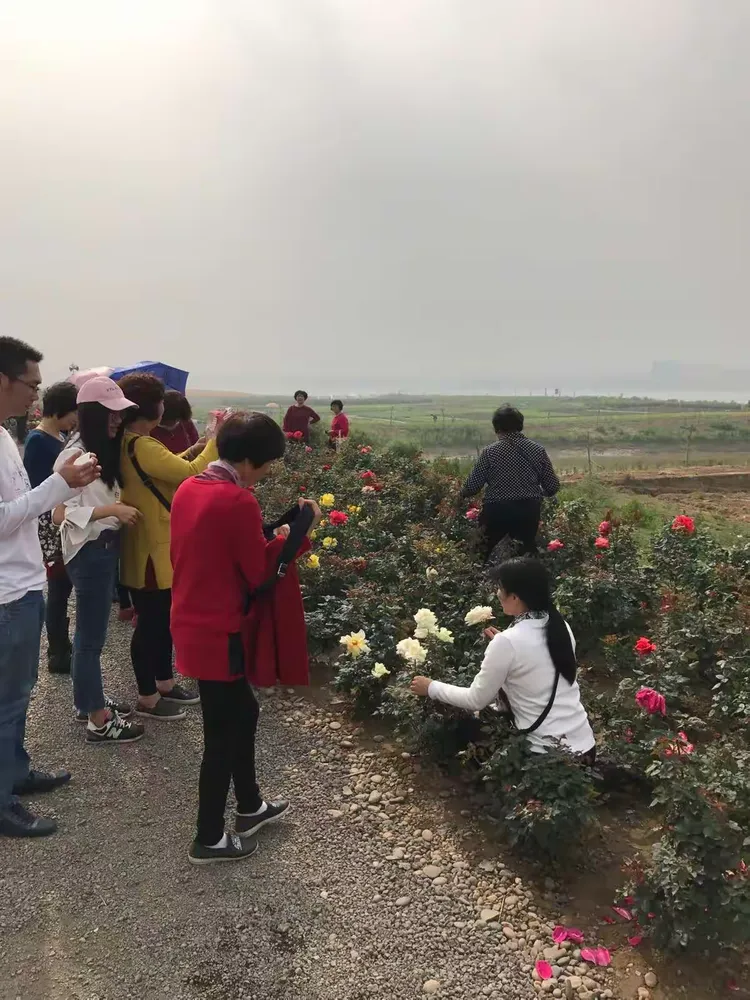 明昌拾贰季生态园游记