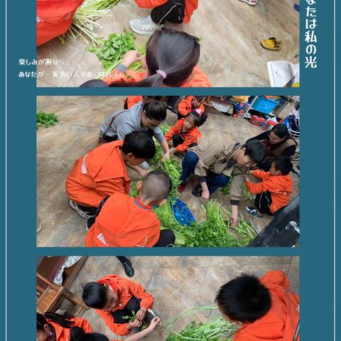 种植喜收获，敬老献爱心——记红小二（4）班公益活动