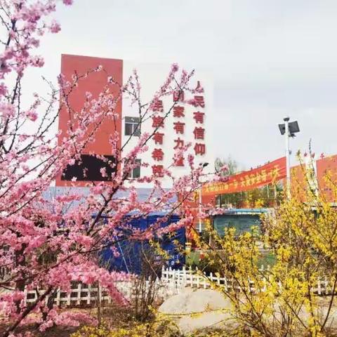 青铜峡市峡口中心小学开学报到暨线上教学致家长一封信