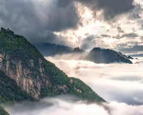 秦岭地区生态环境保护，雨金九年制学校在行动！