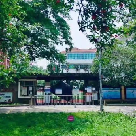 凝心聚力审图书 馥郁书香净校园 --琵琶亭学校开展图书清查工作