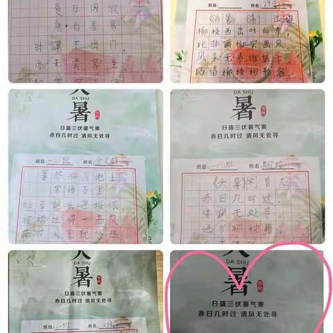 洛阳启迪未来小学一年级二十四节气探索课程之大暑