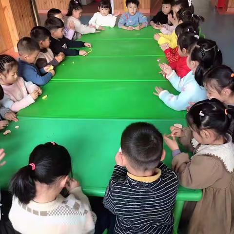 🏰阳光雨露幼儿园🏰木棉树班冬至-《包饺子》