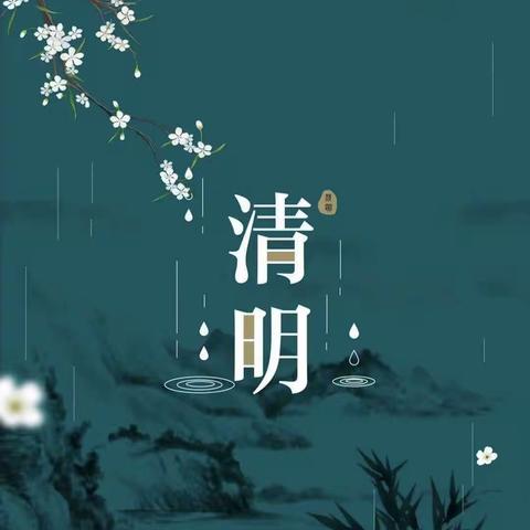 清.明.至——南幼新华园中一班