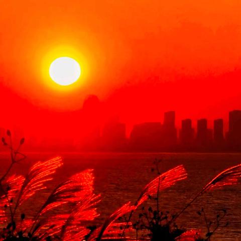 金秋光影 昆明铁路局老年大学 图片视频处理班 摄影学习交流园地 2024.第九期（总第16期）