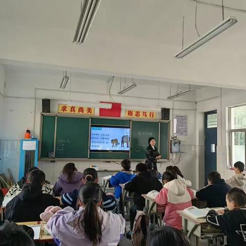 教以共进  研以致远——记洛阳市丰鑫小学数学组第四次教研