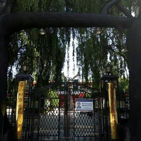 农村的孩子，城市的教育――西庄学校在腾飞