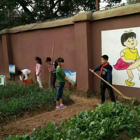 我劳动，我快乐——记陈谷音小学师生劳动基地实践活动