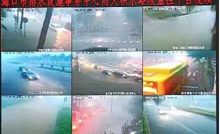 关于今日头条和西瓜视频《海口多路段积水严重》舆情情况的报告