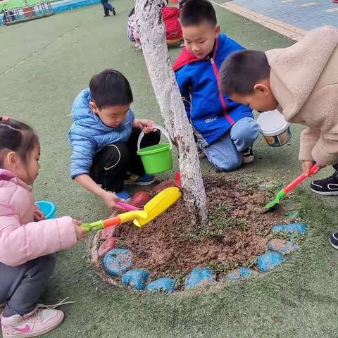 在植树节来临之际，在这个春暖花开的季节，宝贝为幼儿园的树木松松土，浇浇水！爱华花草树木从我做起！从小做起！