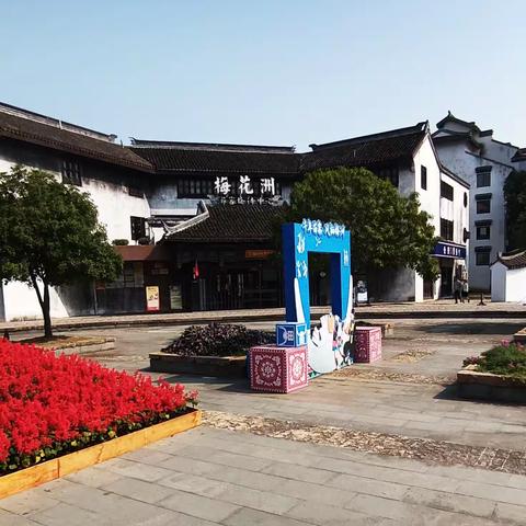 2023年10月嘉兴梅花洲