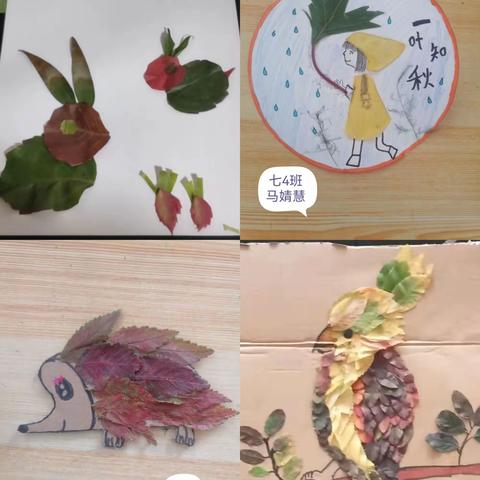 实践作业多样化，五育并举促成长——兴泾中学多样化作业展示（一）