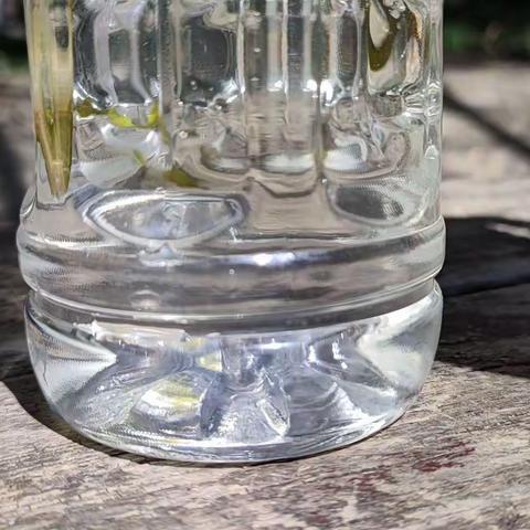 从小蝌蚪到……全科老师DianeTang