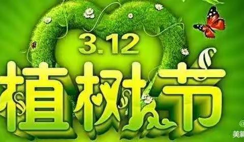 安居附属幼儿园大中二班“植树节”，保护环境，爱护树木🍀🌴，从我做起”👧👦