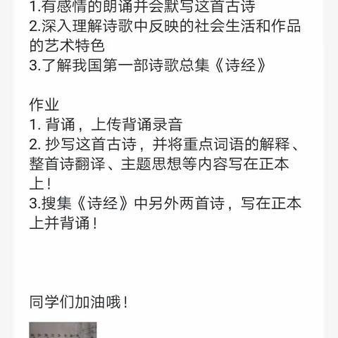 桥西教育疫情防控之玉村小学|“疫”路花开，《诗经》相伴