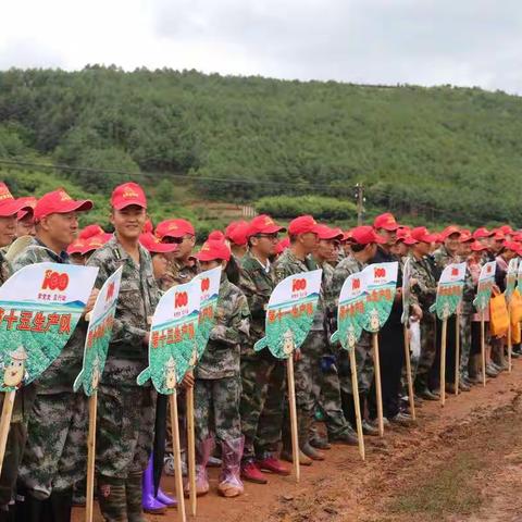 倘甸镇我为群众办实事科技增收大比拼三步曲学史力行奏响为民服务“最强音”