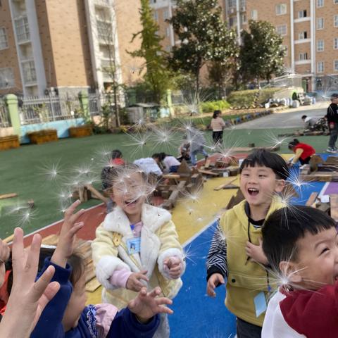 我和种子的奇妙之旅