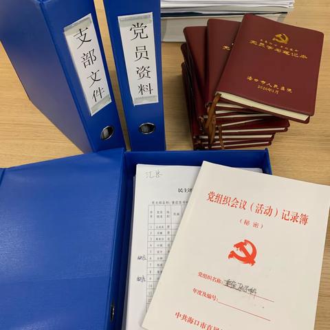 海口市人民医院党委党建工作督导检查小组来重症医学科党支部检查指导工作