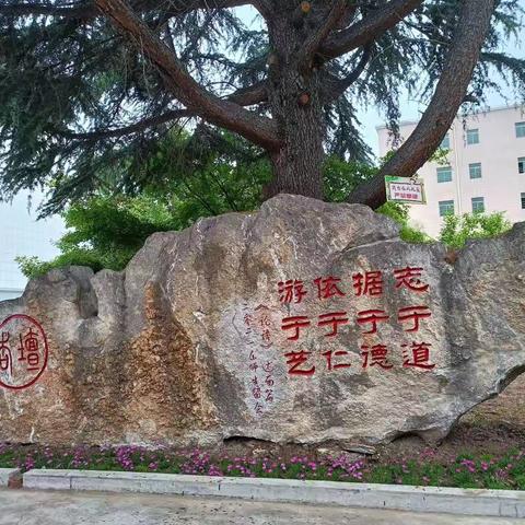 师生共进，提质增效